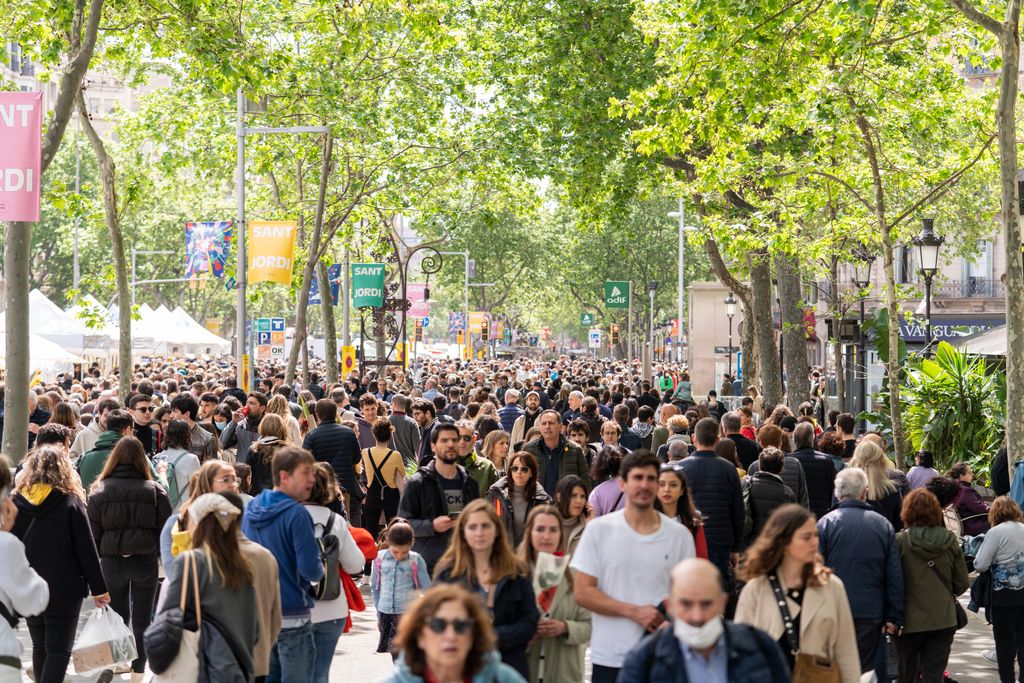 sant jordi ramblas 